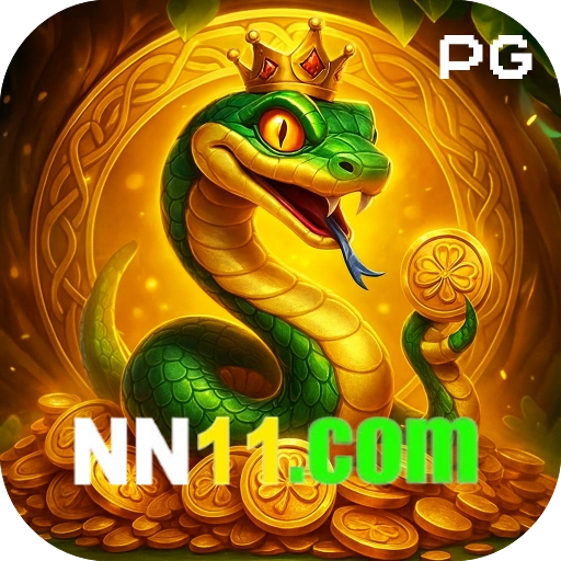 nn11 Logo